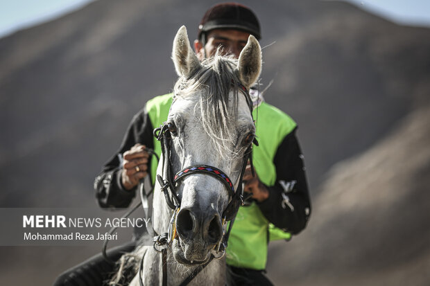 İsfahan'daki at yarışmasından fotoğraflar