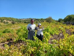 خبر خوش مدیرعامل صندوق بیمه اجتماعی برای نخبگان روستایی