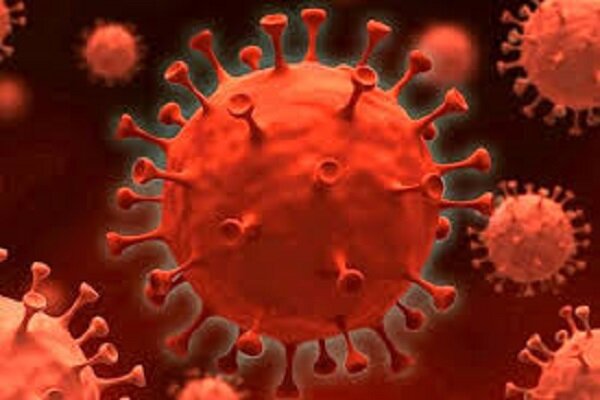 ۱۲۱ مورد جدید مبتلا به کرونا ویروس در ایلام شناسایی شد