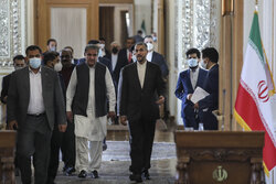 Iran, Pakistan FMs stress regional coop. for Afghan peace
