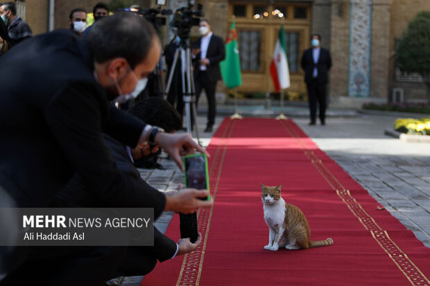 Iranian FM's meetings on Tuesday