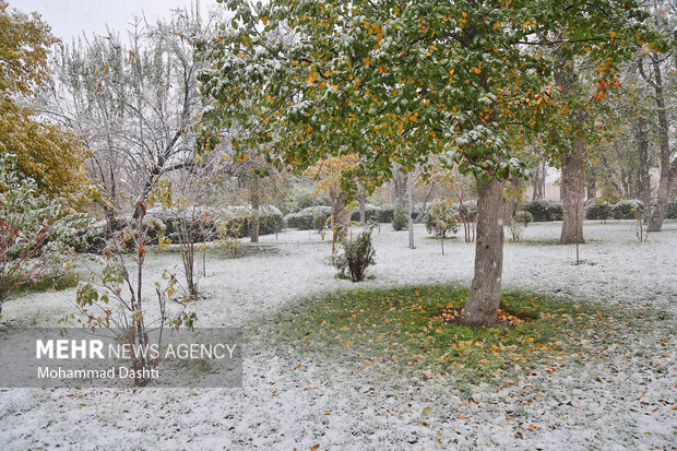 First snowfall this year in Ardabil