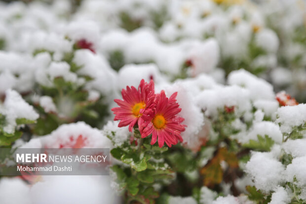 Kirmanşah'daki Nur dağlarına yılın ilk karı yağdı