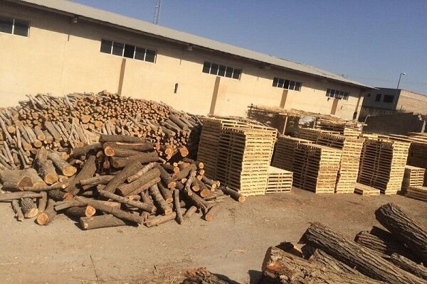 بیش از ۱۵ هزار مترمکعب چوب قاچاق در آذربایجان غربی کشف شد