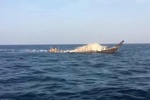 القوات البحرية الايرانية تنقذ سفينة عمانية كانت عالقة في المياة الدولية