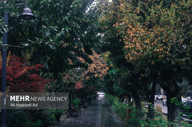 First autumn rainfall in Tehran