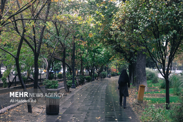 First autumn rainfall in Tehran