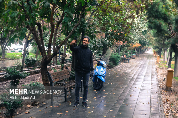 First autumn rainfall in Tehran