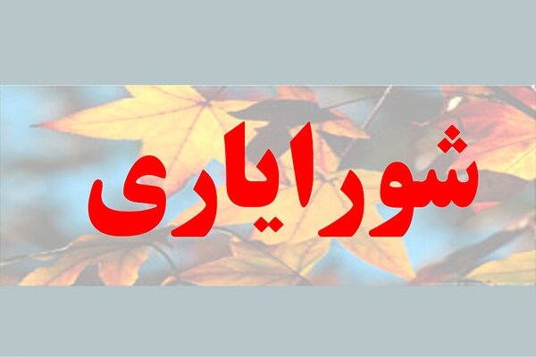 موانعی پیش پای شورایاران در بوشهر/ نهادی که باید قانونمند شود