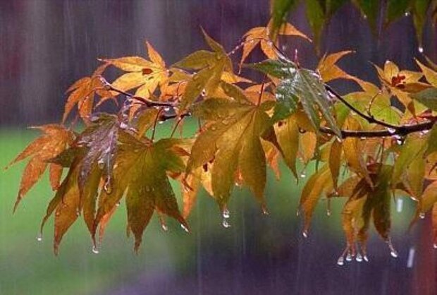 بارش‎‌های پاییزی در کرمانشاه ادامه خواهد یافت