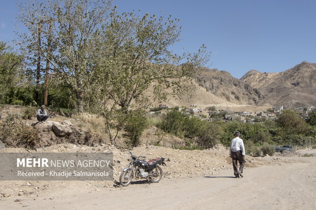 گشتی در باغ های انار روستای نمهیل شهرستان خلخال