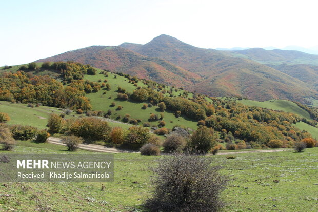 پاییز زیبا در طبیعت روستای نیارق