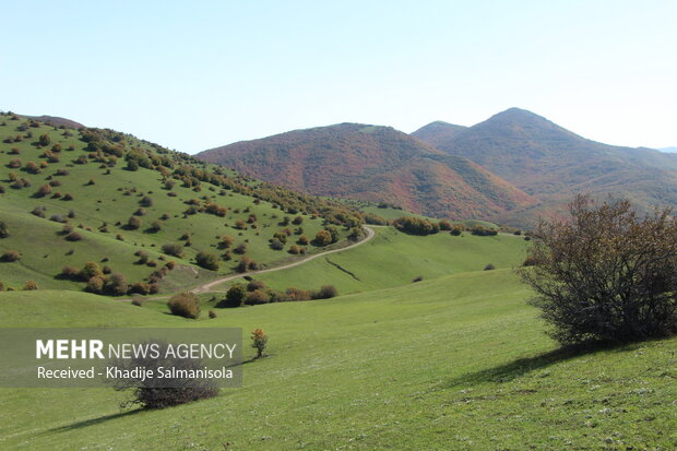 پاییز زیبا در طبیعت روستای نیارق