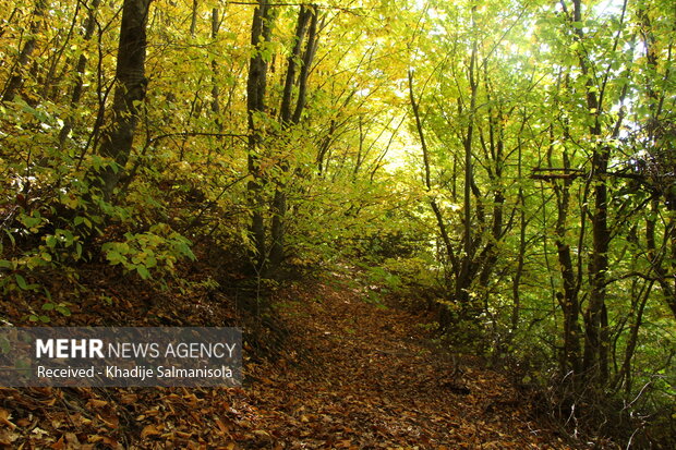 Autumn nature of ‘Niaragh’ Village with breathtaking views
