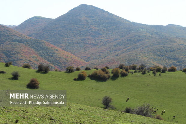 پاییز زیبا در طبیعت روستای نیارق