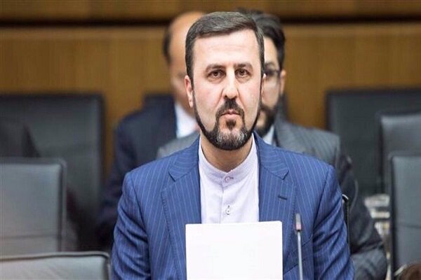 Gharibabadi reacts to Swedish FM's baseless remarks