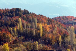 Alamut beauty in autumn