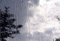بارش باران خسارتی در استان فارس نداشته است
