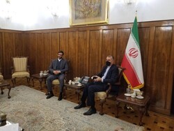 ایرانی وزیر خارجہ کی اقتصادی شعبوں کو مضبوط اور مستحکم بنانے کی کوششوں پر تاکید