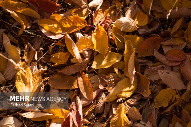 Alamut beauty in autumn