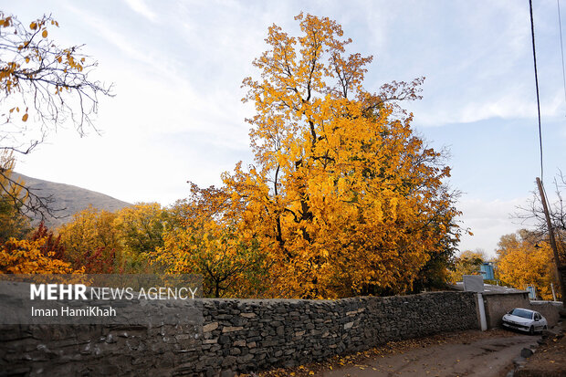 Beautiful sceneries of autumn in Alvand Mountain's valleys
