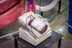 سهم بانوان یزد از اهدای خون فقط ۳ درصد است/ایجاد مجمع خیران انتقال خون
