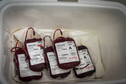 وضعیت اهدای خون در کشور/ سهم بانوان چقدر است