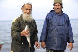 Fishing season in Miankaleh peninsula