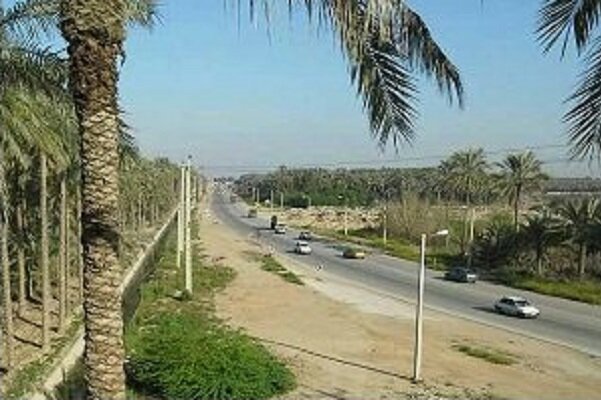 ورودی نگین سبز استان بوشهر اصلاح شود/ لزوم حفظ چشم‌انداز نخلستان