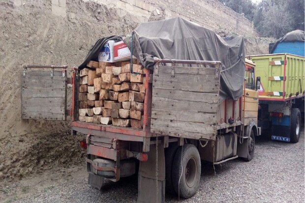 حمل و نقل چوب در نهاوند ممنوع شد
