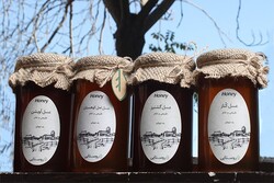 خرید عسل طبیعی از زنبورداران معتمد در سایت روستایی