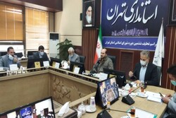 ۲۱۶ نفر در استان تهران عضو شوراهای اسلامی شهر هستند
