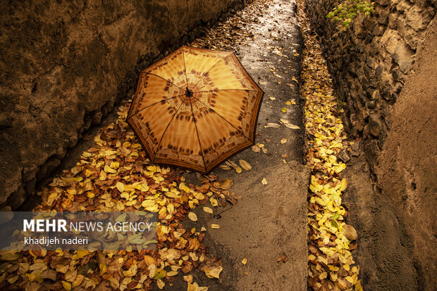 Autumn leaves in Khansar