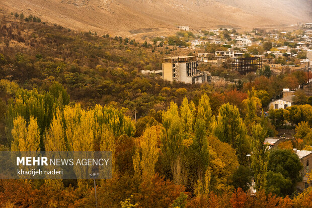 Autumn leaves in Khansar