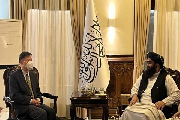 وزیر خارجه طالبان با سفیر چین دیدار کرد