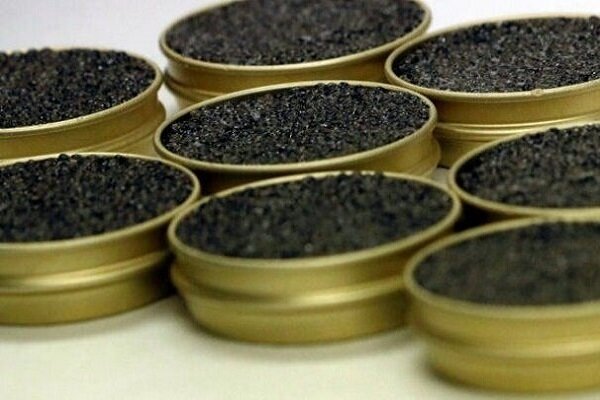 Caviar exports hit 5.5 tons in FY 2022-23