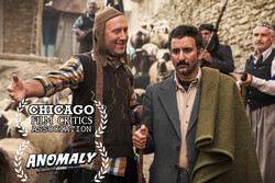 «زالاوا» در جشنواره منتقدین فیلم شیکاگو و آنومالی نیویورک