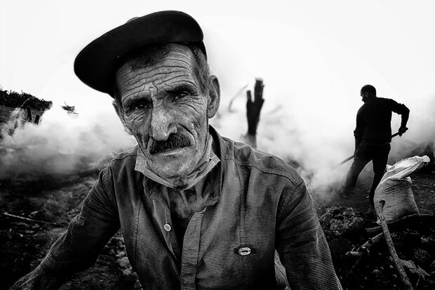 مدال طلای جشنواره عکس بوسنی برای عکاس ایرانی