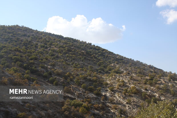 "Arghavan" valley in Ilam Province