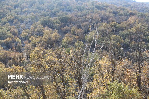 "Arghavan" valley in Ilam Province