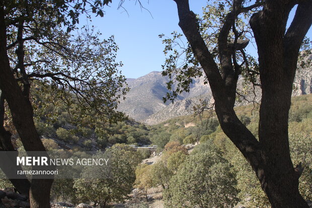 "Arghavan" valley in Ilam Province