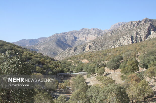 "Arghavan" valley in Ilam Province