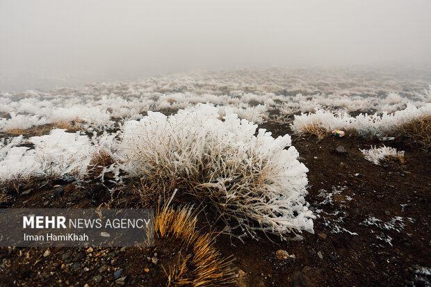 زمستان زودرس در جاده تاریک دره همدان
