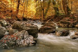 بهشت هزار رنگ مازندران