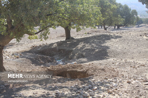 قبرستان منجل ایلام