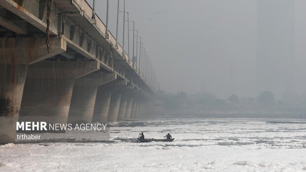 ظاهر شدن کف‌های سمی در رودخانه یامونا هند