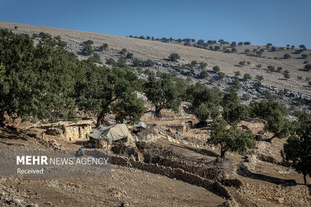 حضور داوطلبان جمعیت امام رضایی ها در اندیکا - خوزستان