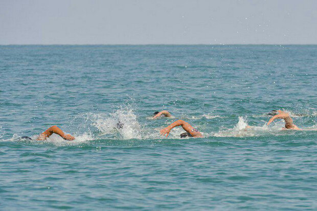 مسابقات شنای آب های آزاد در جزیره کیش آغاز شد