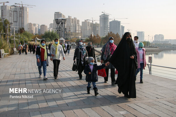 همایش پیاده روی خانوادگی صبح  پنج شنبه  در پیاده راه پیرامون دریاچه خلیج فارس برگزار شد