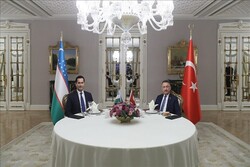 دیدار معاونین رهبران ترکیه و ازبکستان در استانبول